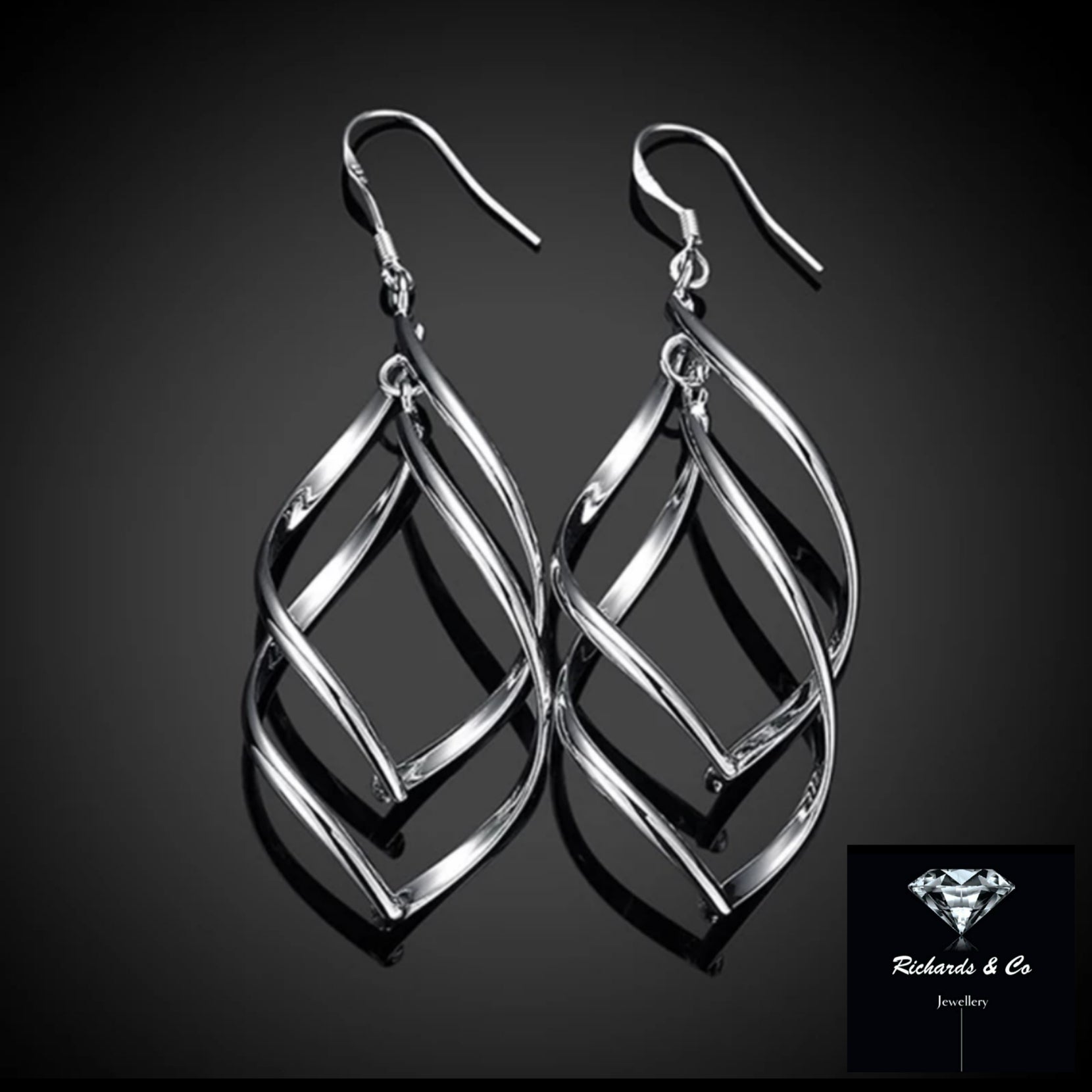 Spiral Silver Drop Earrings
