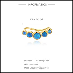 Gold earrings with blue opal stones and product details on a white background
