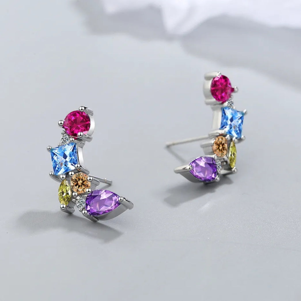 Silver Multi -Colour Stud Earrings