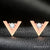 Rose Gold V Shape Earrings